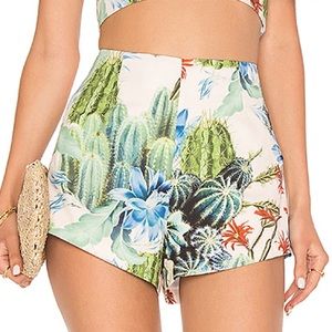 NWT MINKPINK Such A Prick Shorts M
